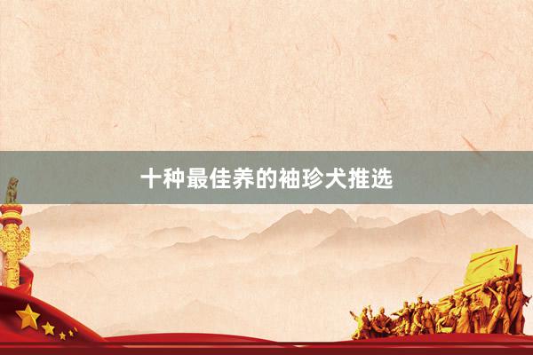 十种最佳养的袖珍犬推选